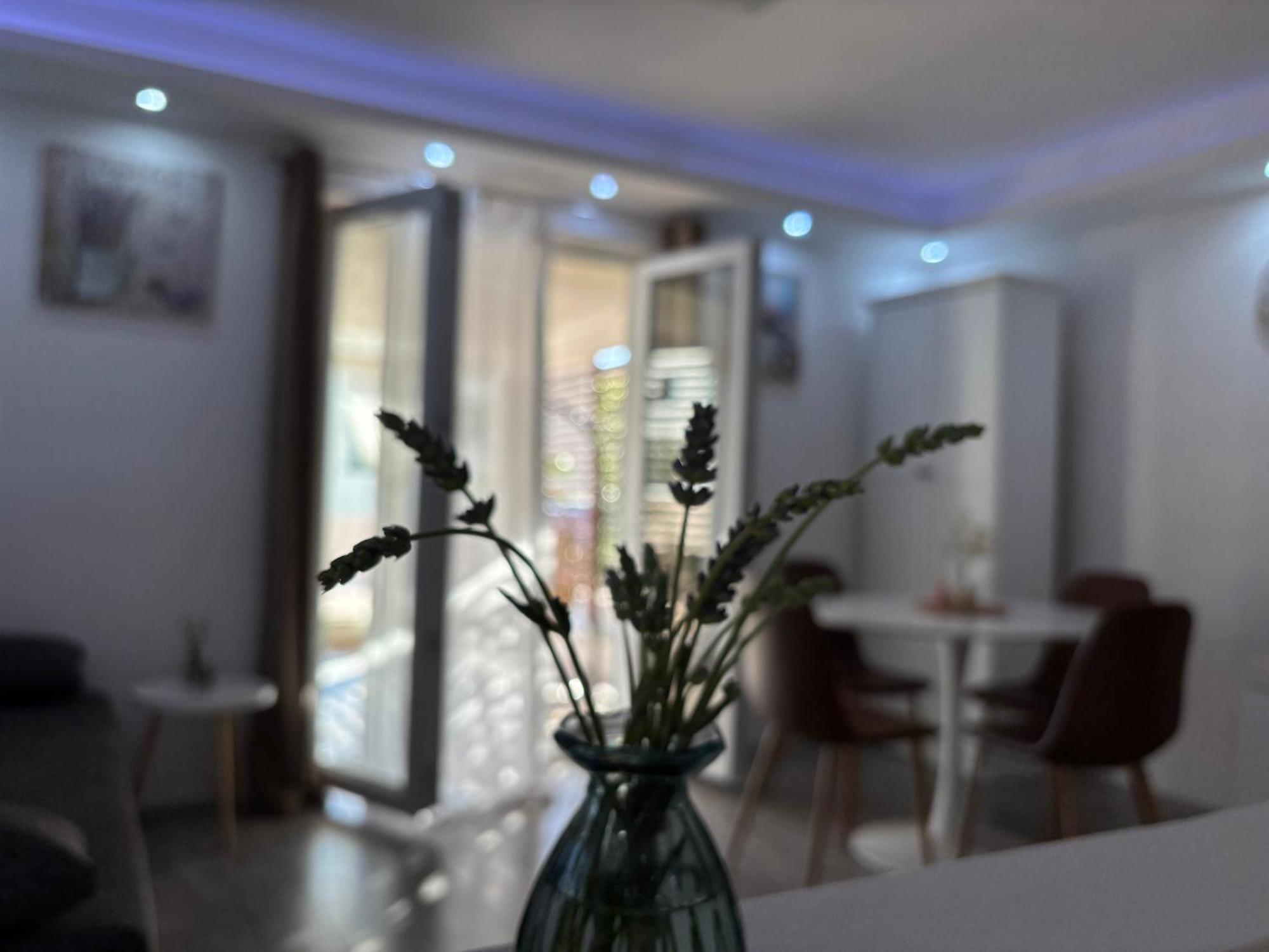 Luxury Apartman Nr Sibenik Exterior photo